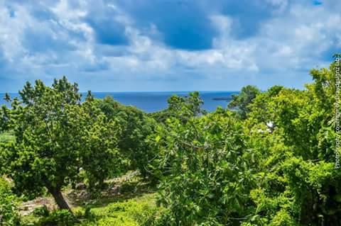 Ackee Tree Sea View Villa Port Antonio Extérieur photo