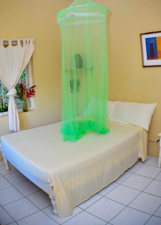 Ackee Tree Sea View Villa Port Antonio Extérieur photo