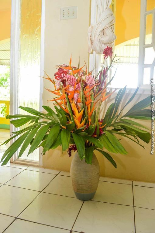 Ackee Tree Sea View Villa Port Antonio Extérieur photo