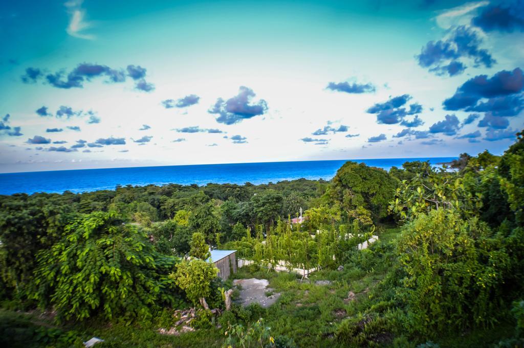 Ackee Tree Sea View Villa Port Antonio Extérieur photo