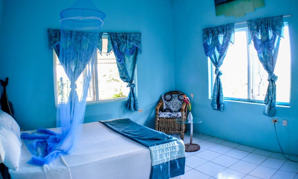 Ackee Tree Sea View Villa Port Antonio Extérieur photo