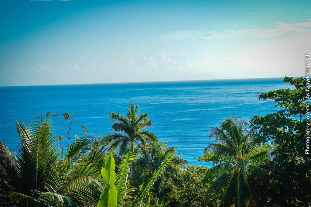 Ackee Tree Sea View Villa Port Antonio Extérieur photo