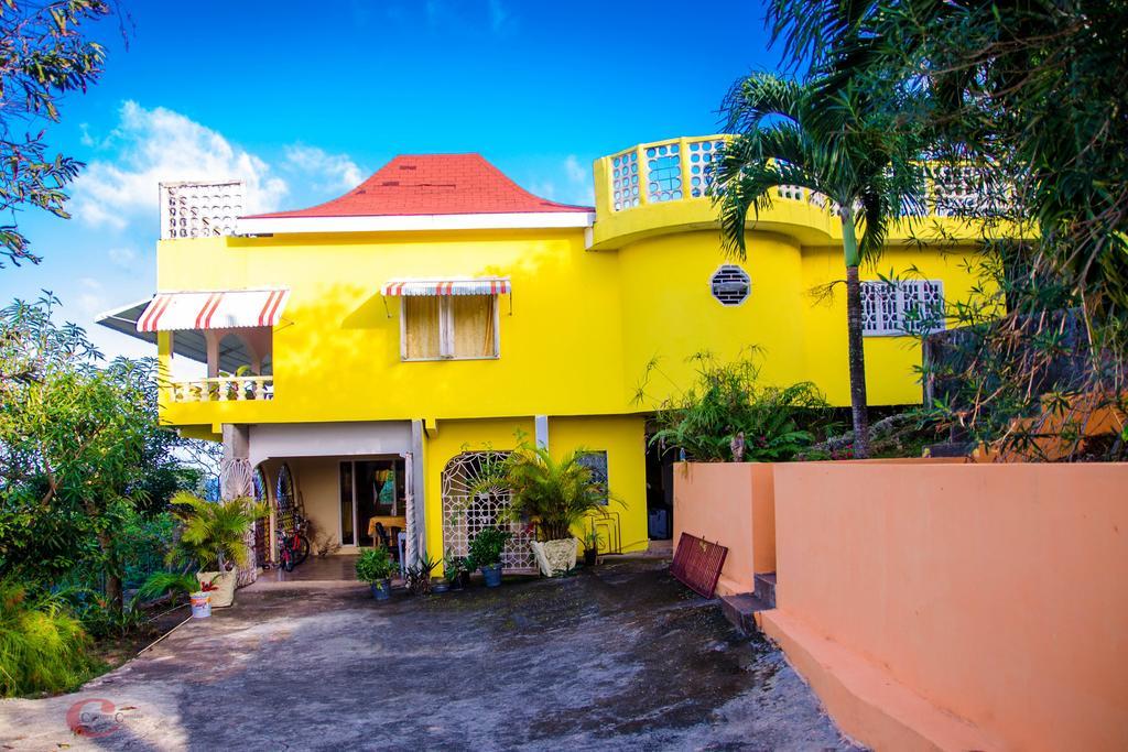 Ackee Tree Sea View Villa Port Antonio Extérieur photo